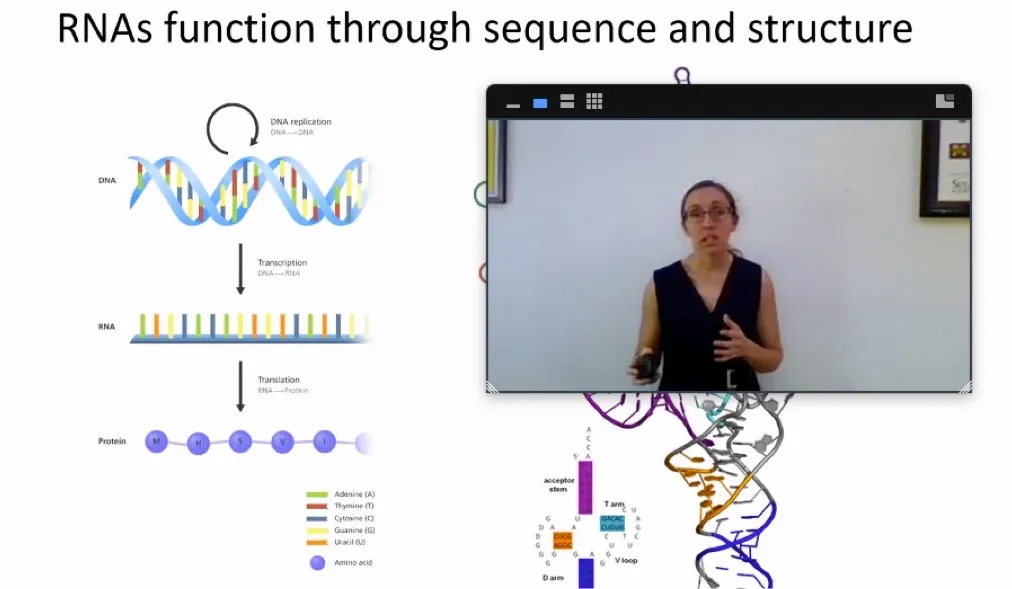 Congrats, Dr. Doxtader! PhD Defense 2020 on Zoom!